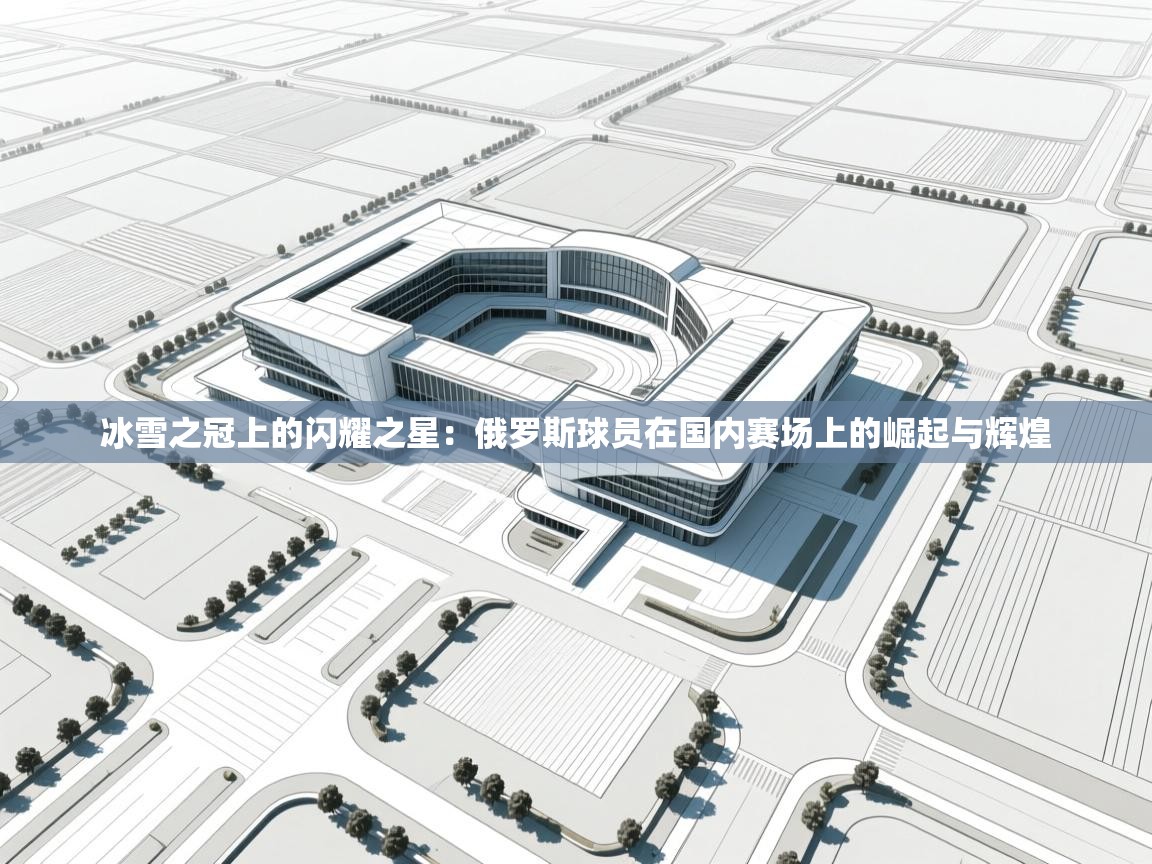 冰雪之冠上的闪耀之星：俄罗斯球员在国内赛场上的崛起与辉煌  第2张